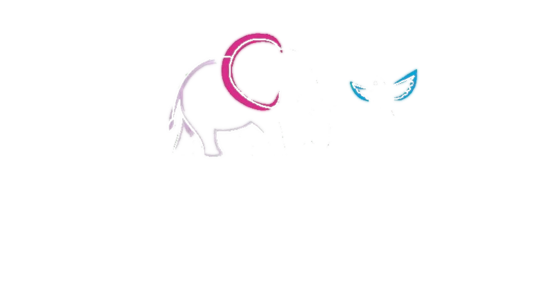 elephant and bird logo